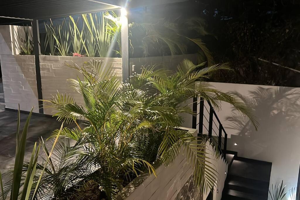 Villa Residencia Corinto La Cima Frac Burgos Bugambilias Temixco Exterior foto